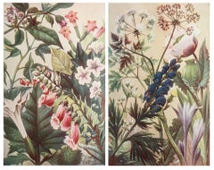 Pair of Original Vintage Botanical Prints, circa 1900