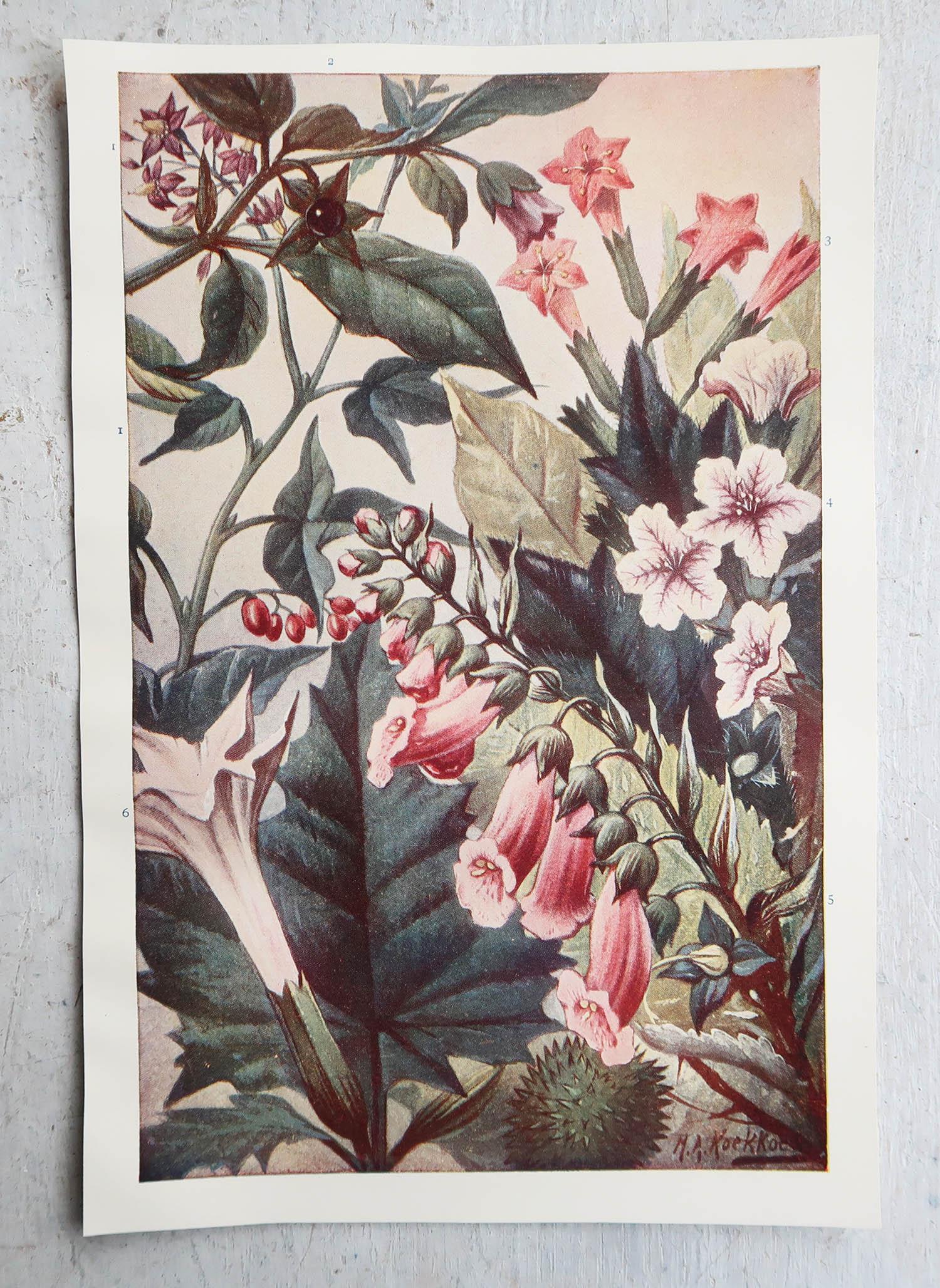 Edwardian Pair of Original Vintage Botanical Prints, circa 1900 For Sale