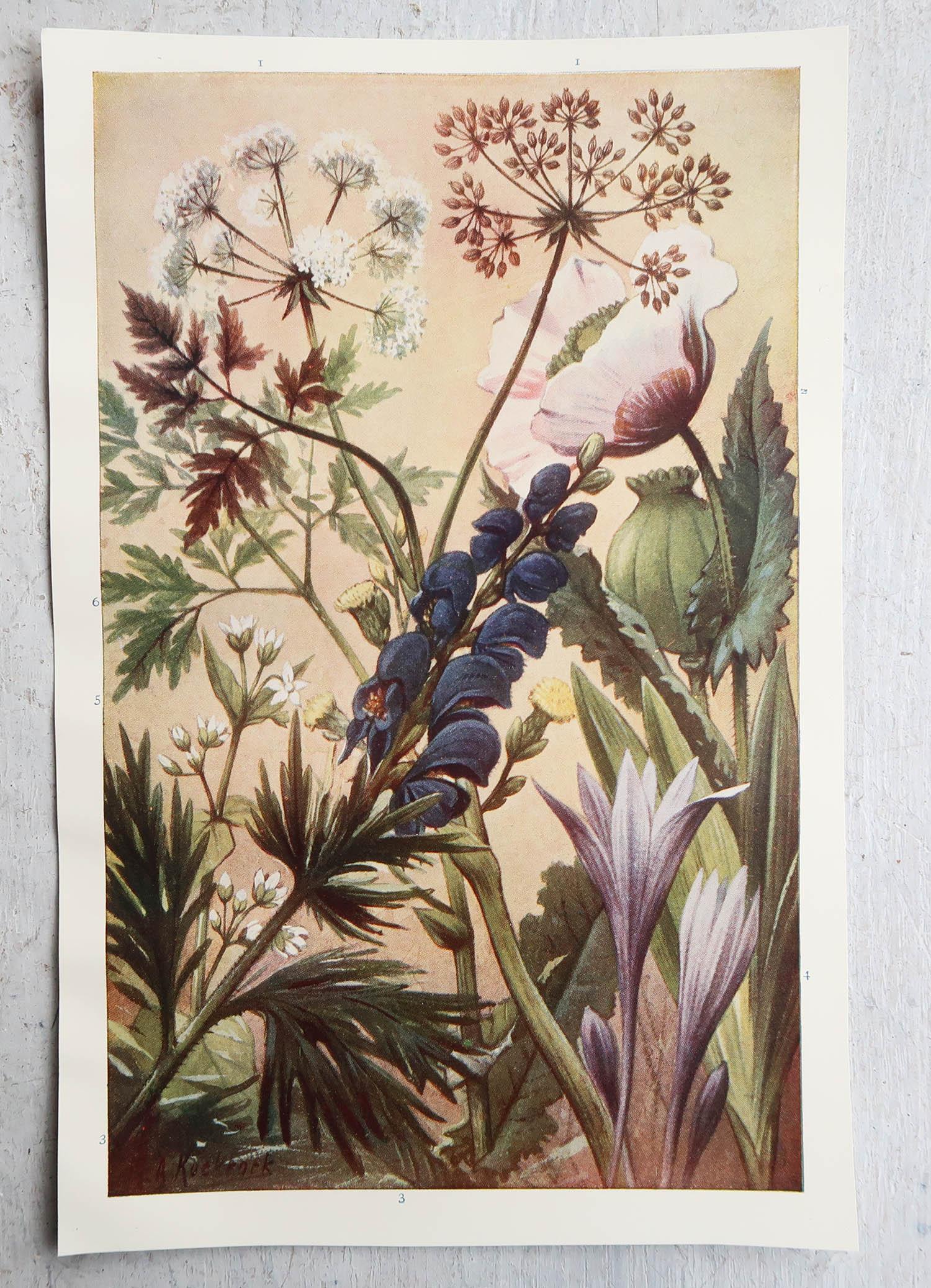 English Pair of Original Vintage Botanical Prints, circa 1900 For Sale