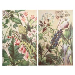 Pair of Original Vintage Botanical Prints, circa 1900