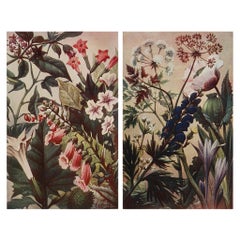 Pair of Original Vintage Botanical Prints, circa 1900