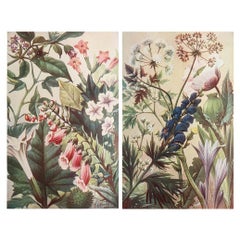 Pair of Original Vintage Botanical Prints, circa 1900