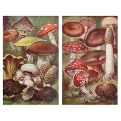 Decorative Art