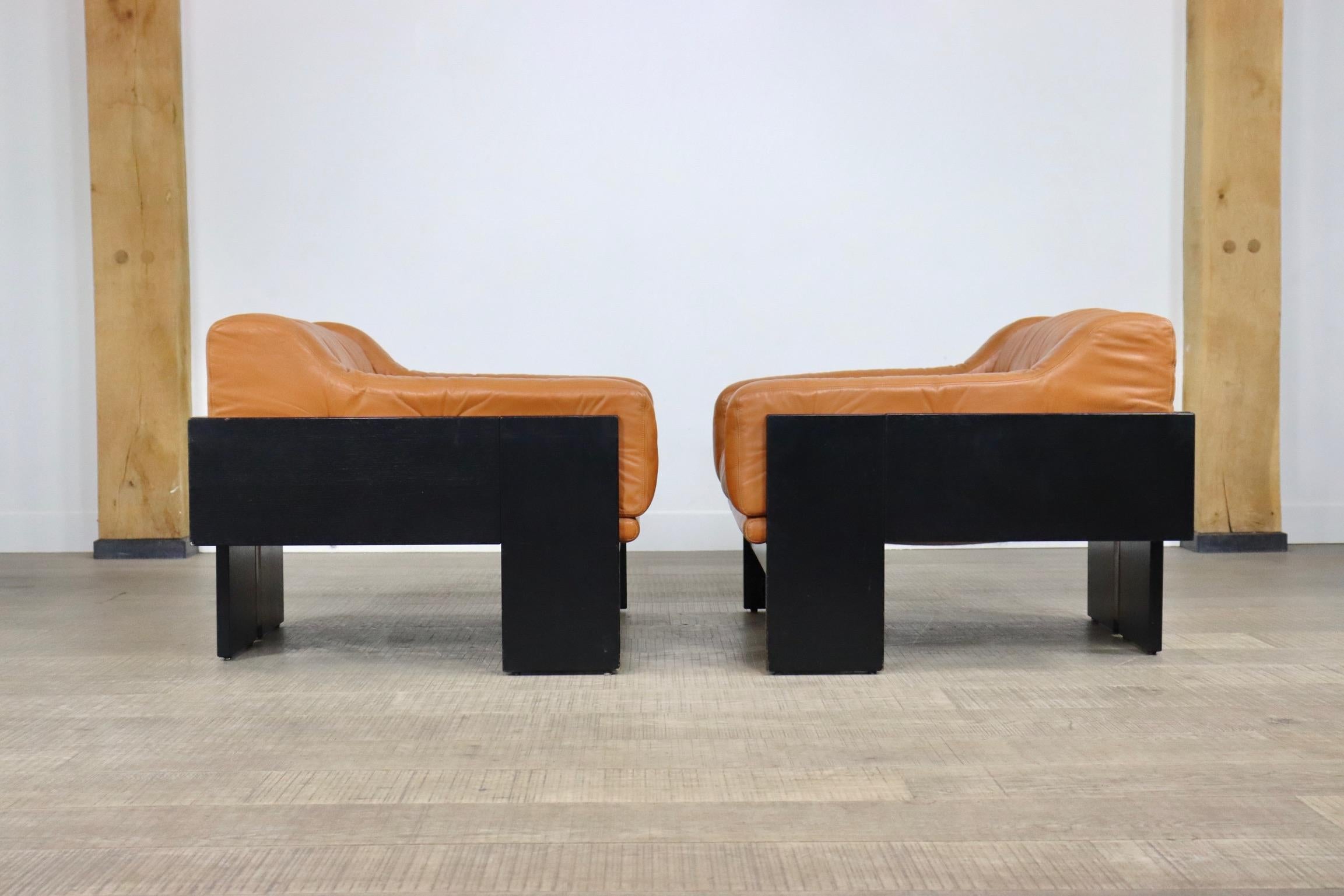 Pair of Oriolo Lounge Chairs by Claudio Salocchi for Sormani, 1960s 6