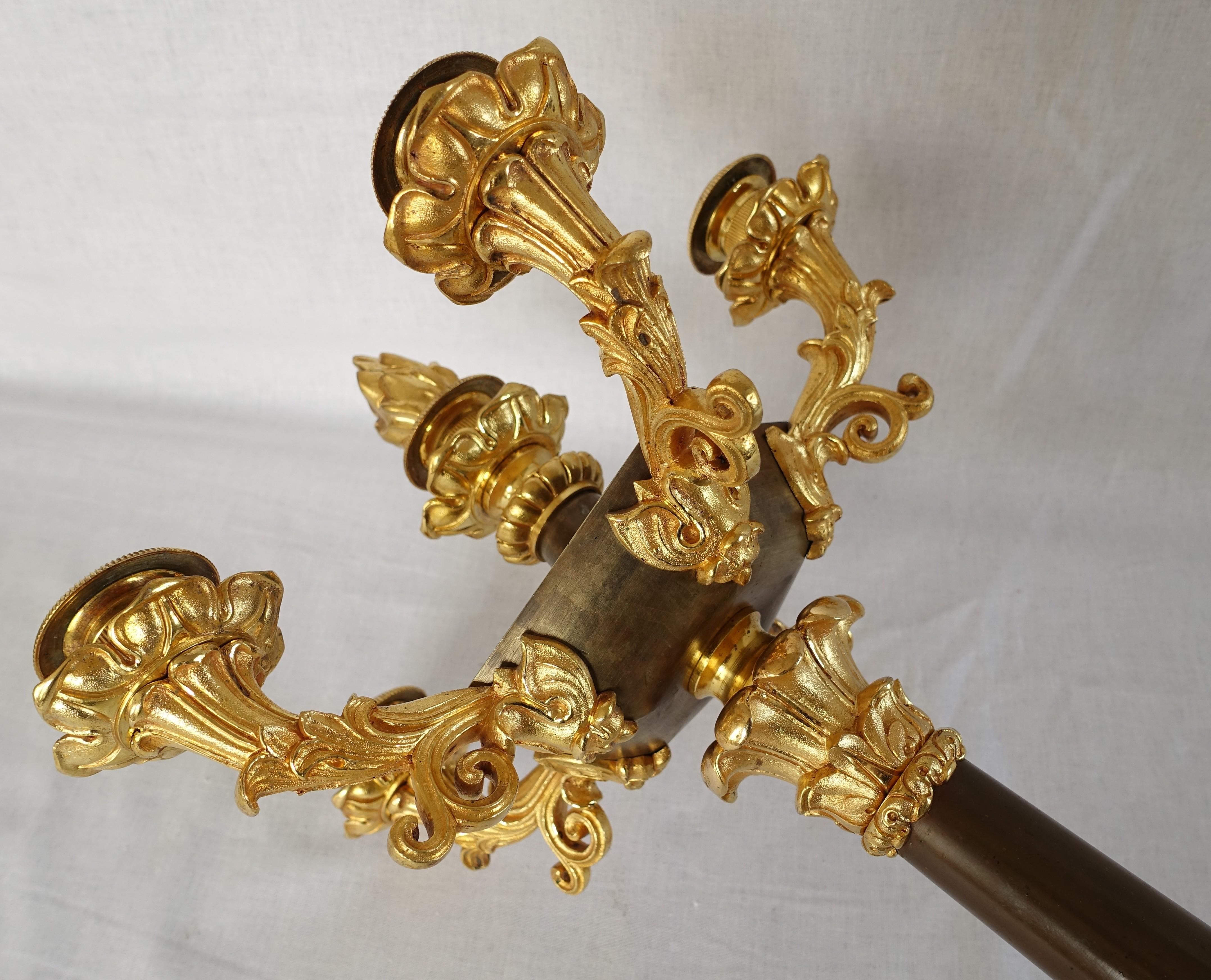 Pareja de candelabros de bronce patinado y ormolu - principios del siglo XIX hacia 1830 en venta 1