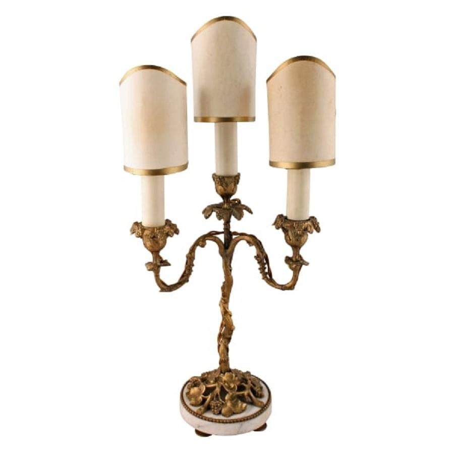 European Pair of Ormolu Candelabra Lamps, 19th Century For Sale