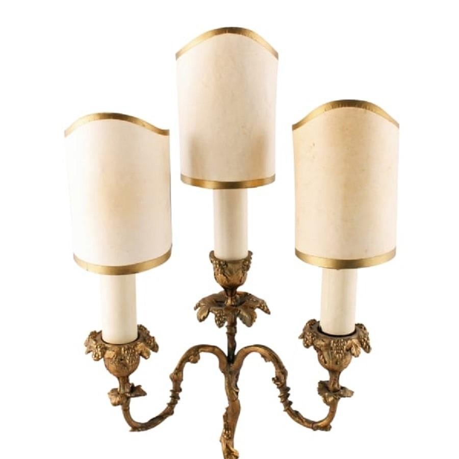 Pair of Ormolu Candelabra Lamps, 19th Century In Good Condition For Sale In London, GB