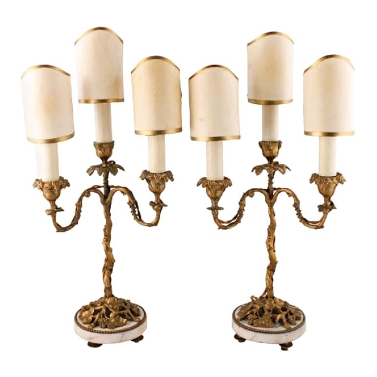 Pair of Ormolu Candelabra Lamps, 19th Century For Sale