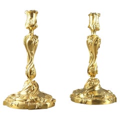 Paar von  Rocaille-Kerzenständer aus Goldbronze im Louis XV.-Stil
