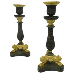 Pair of Ormolu Patinated Gilt Bronze Acanthus Empire-Style Candlesticks