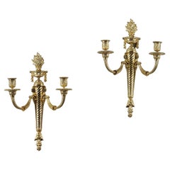 Louis XVI Wall Lights and Sconces