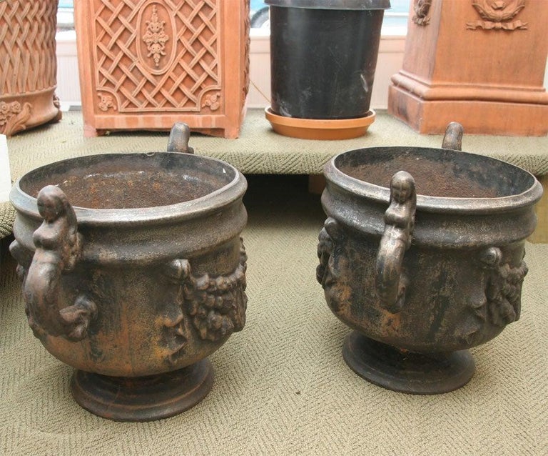 19th Century Pair of Ornate Cast Iron Urns For Sale