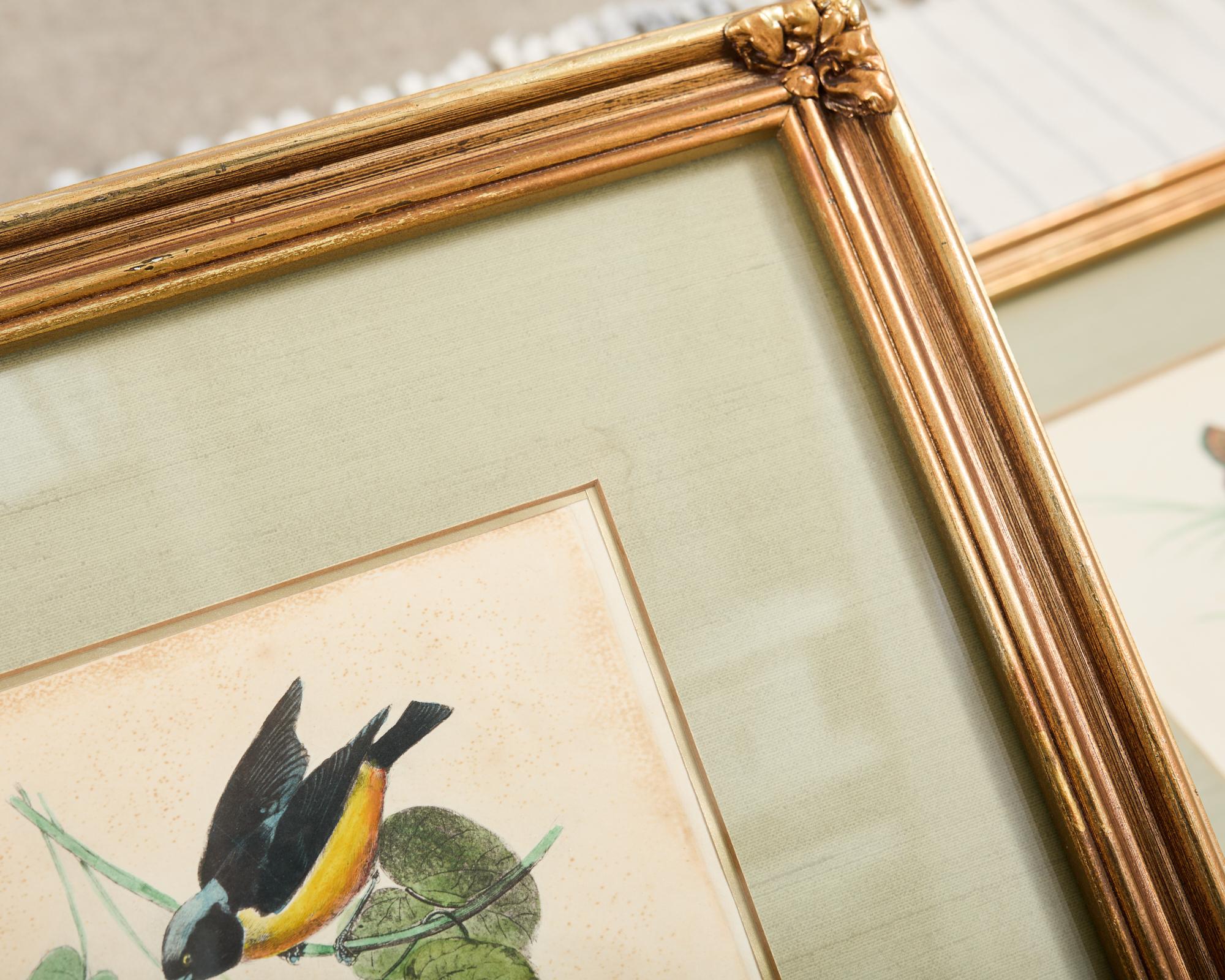 Pair of Ornithological Hand Colored Framed Bird Prints For Sale 5