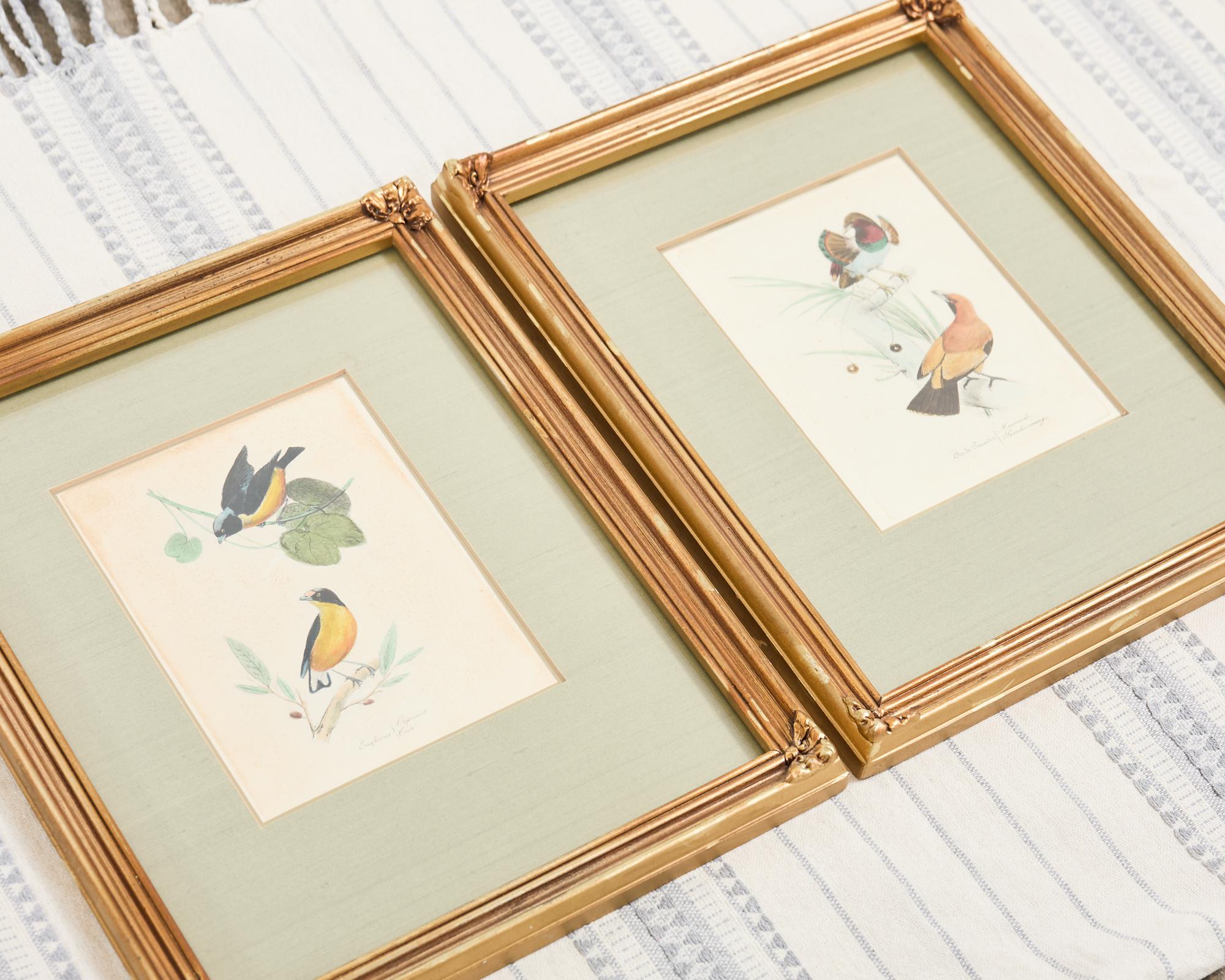 Victorian Pair of Ornithological Hand Colored Framed Bird Prints For Sale
