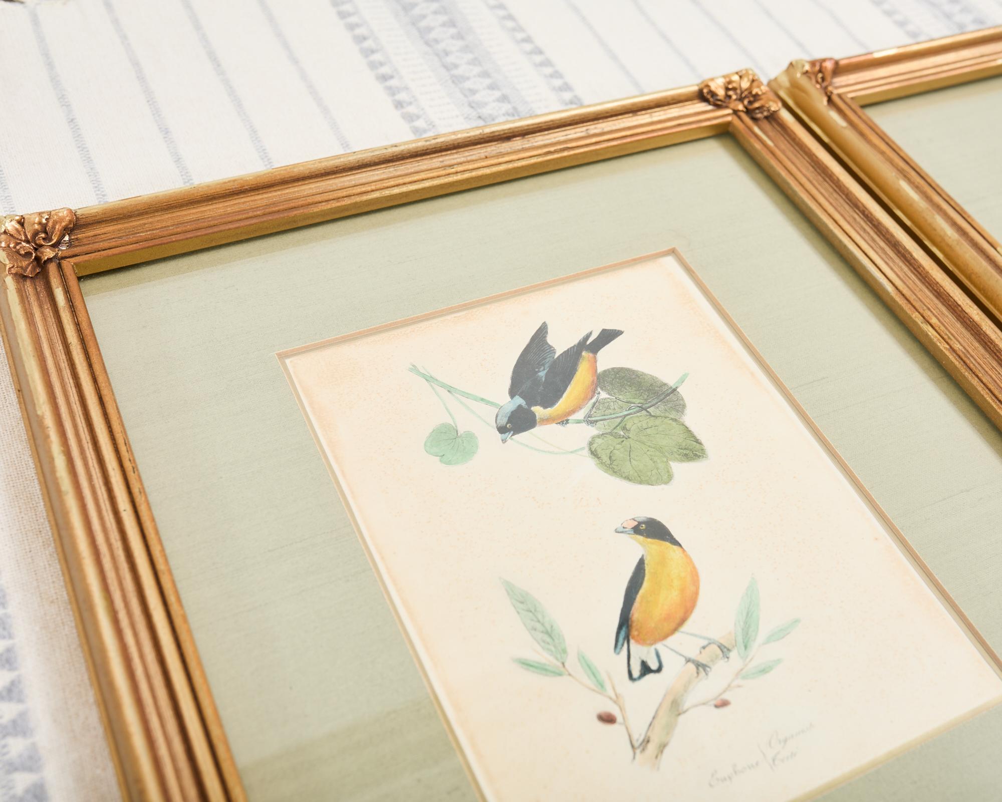 Pair of Ornithological Hand Colored Framed Bird Prints In Good Condition For Sale In Rio Vista, CA
