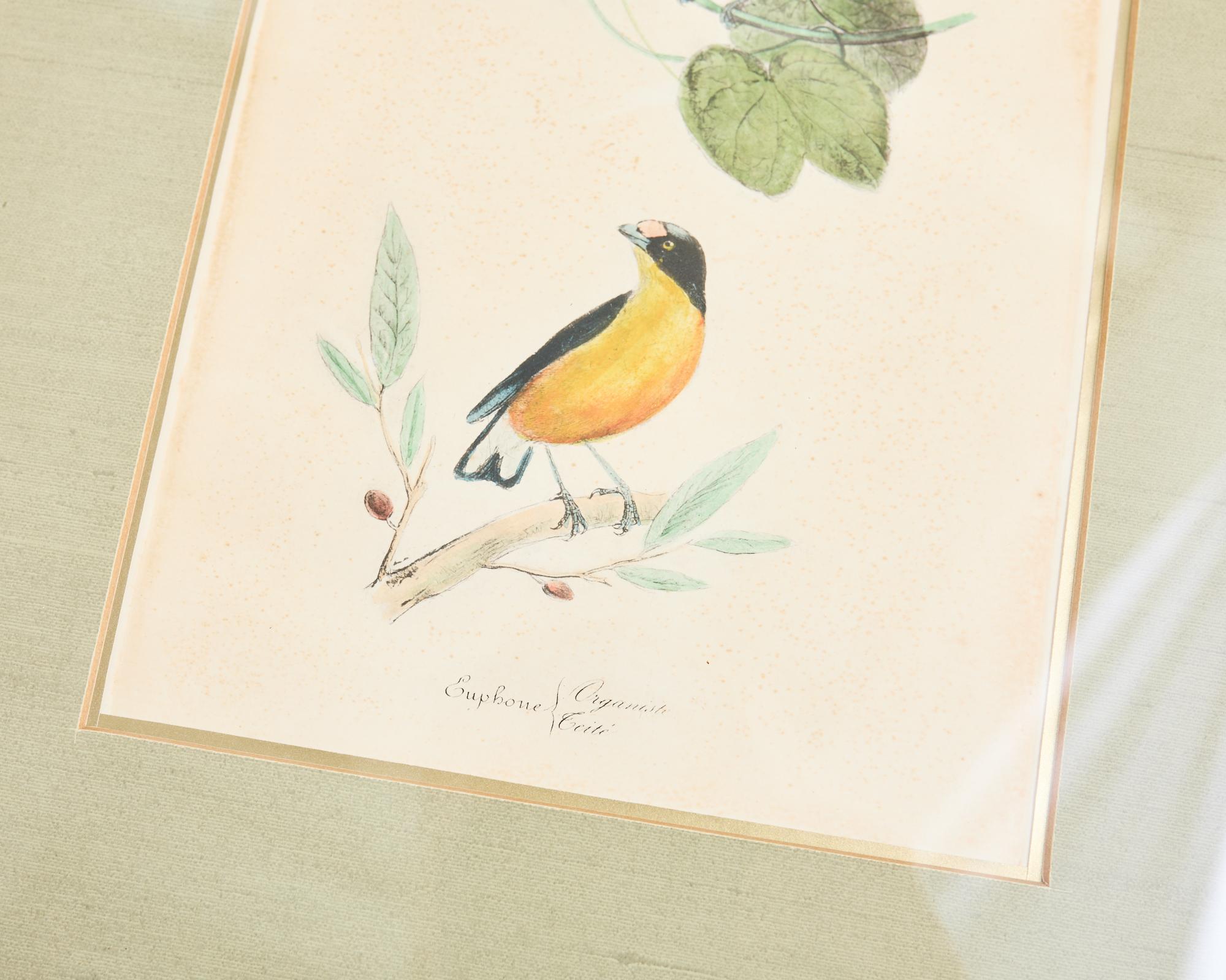 Pair of Ornithological Hand Colored Framed Bird Prints For Sale 1