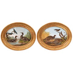 Pair of Oval Gouaches Figuring Birds in Nature, 19th Century