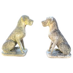 Pair of Over-Scale English Cast Stone Great Dane Dogs with Superb Patina