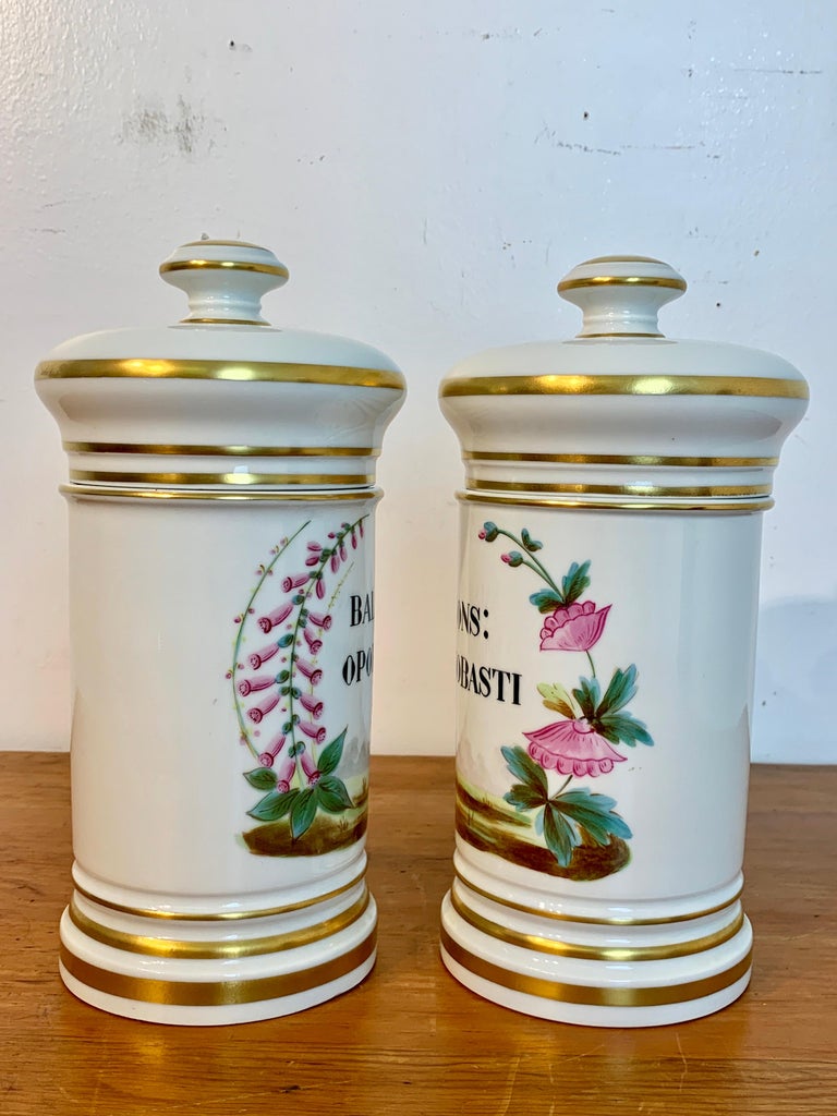 Pair of P. V. Limoges Floral Painted Apothecary Jars at 1stDibs