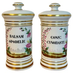 Pair of P. V. Limoges Floral Painted Apothecary Jars