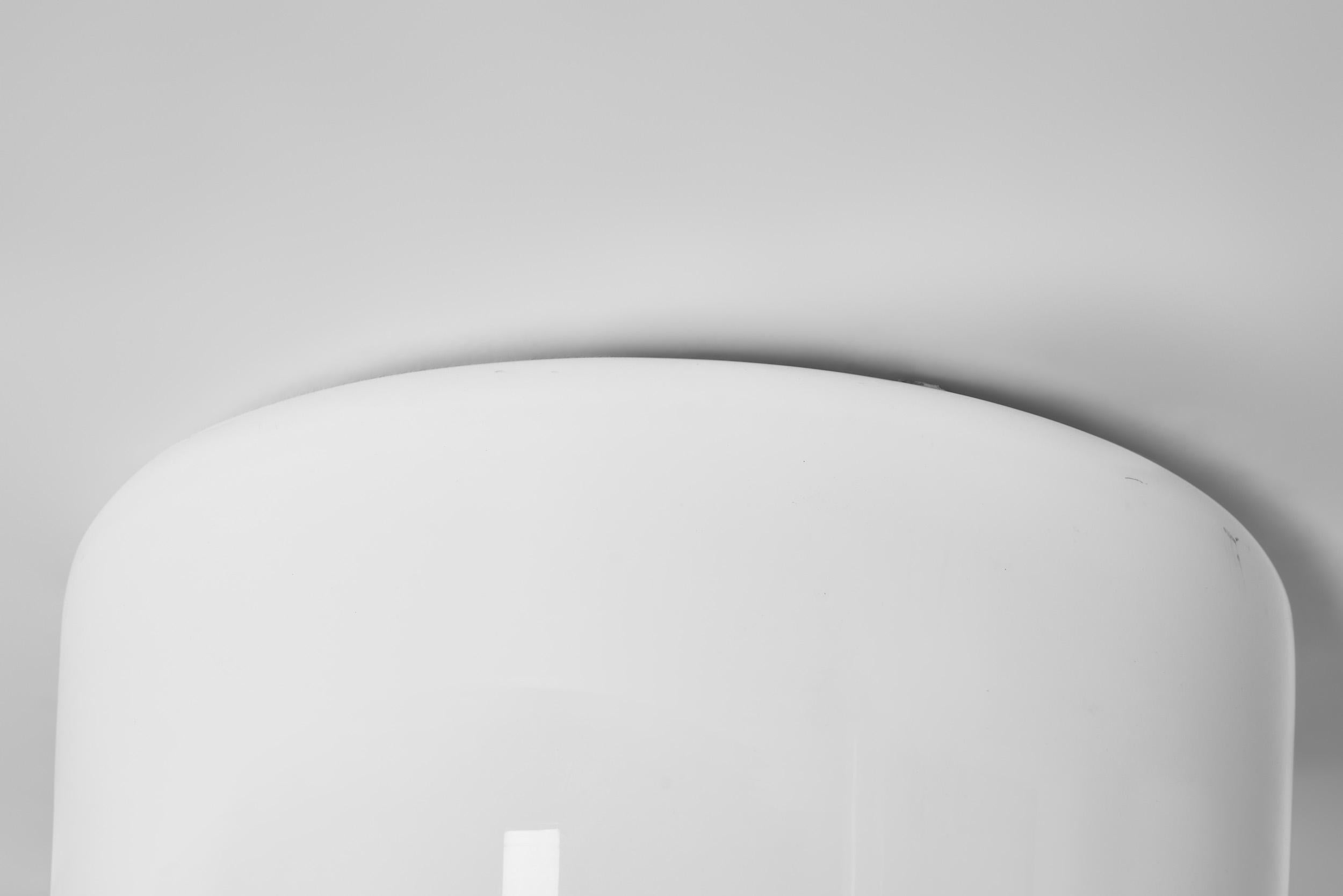 Coppia di lampade da soffitto 