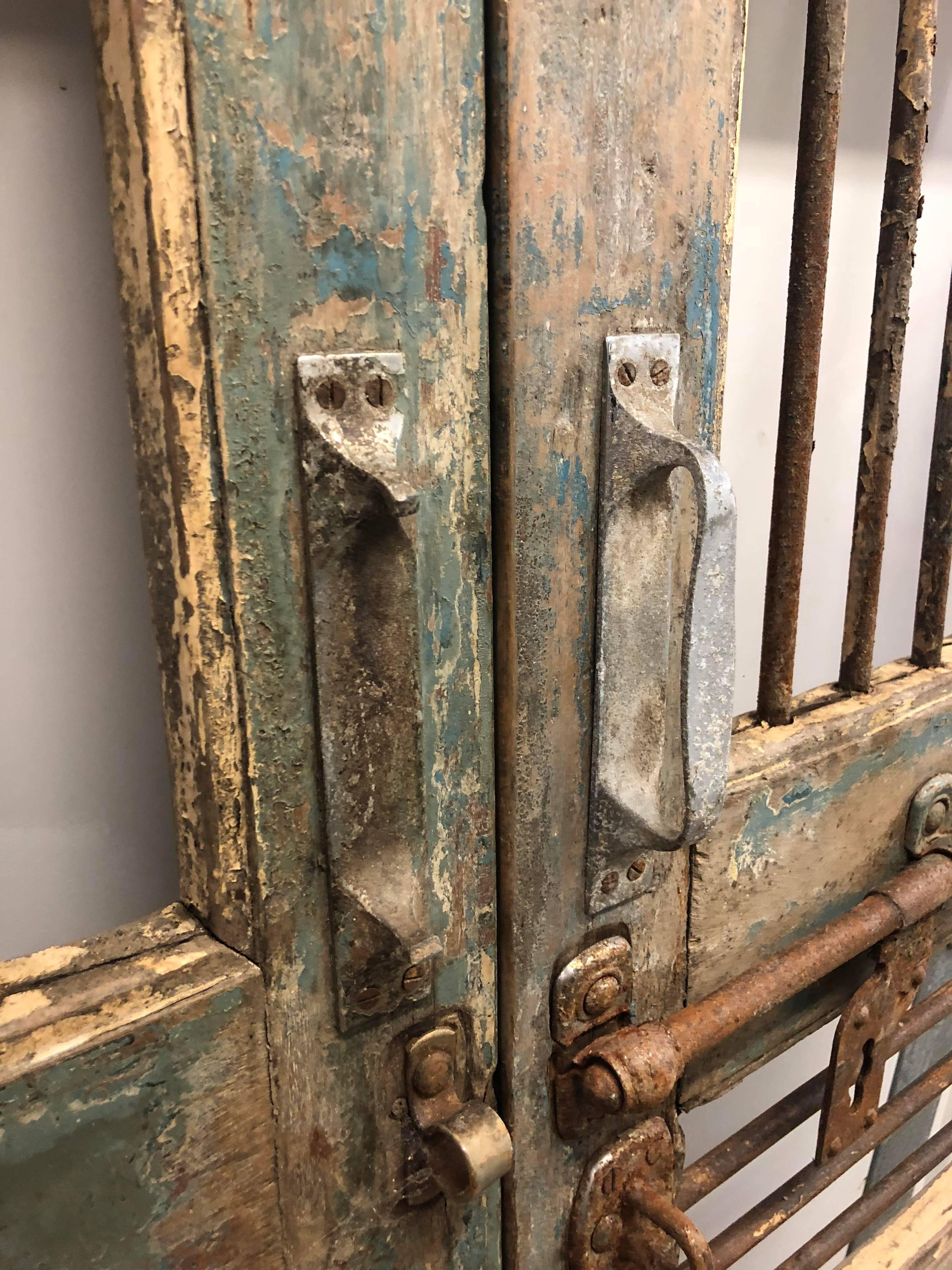 Pair of Painted Indian Gated Doors 6