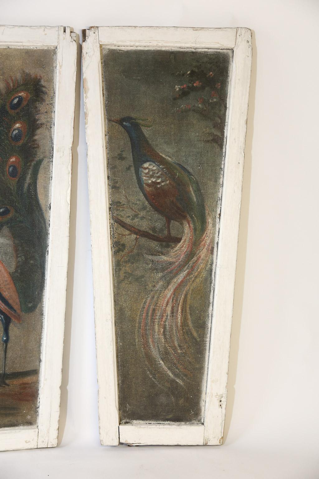 English Pair of Painted Peacock  Panels