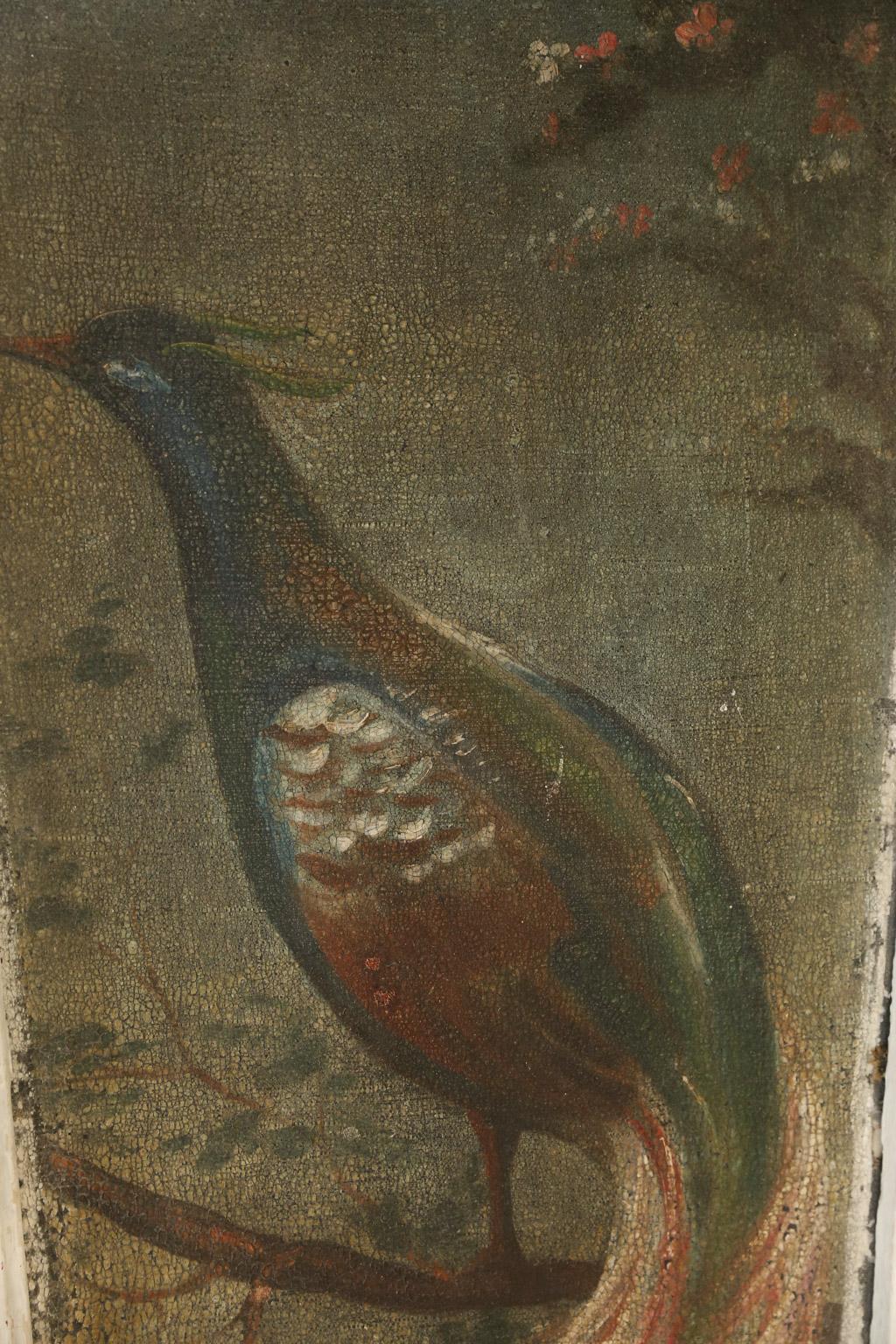 19th Century Pair of Painted Peacock  Panels