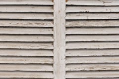 Pair of Painted Shutters