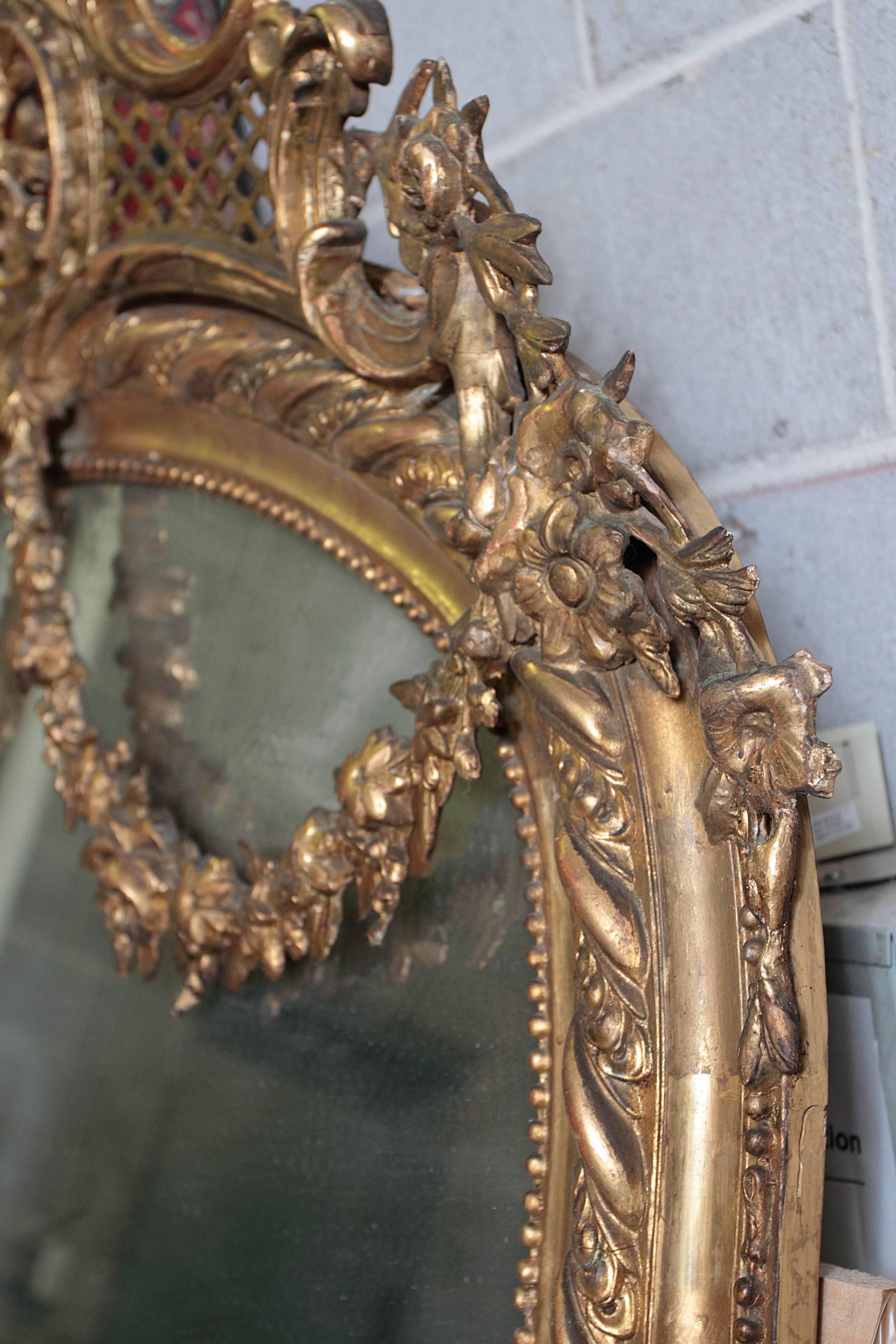 Pair of Palatial French 19th Century Gilt Carved Louis XV Mirrors 6