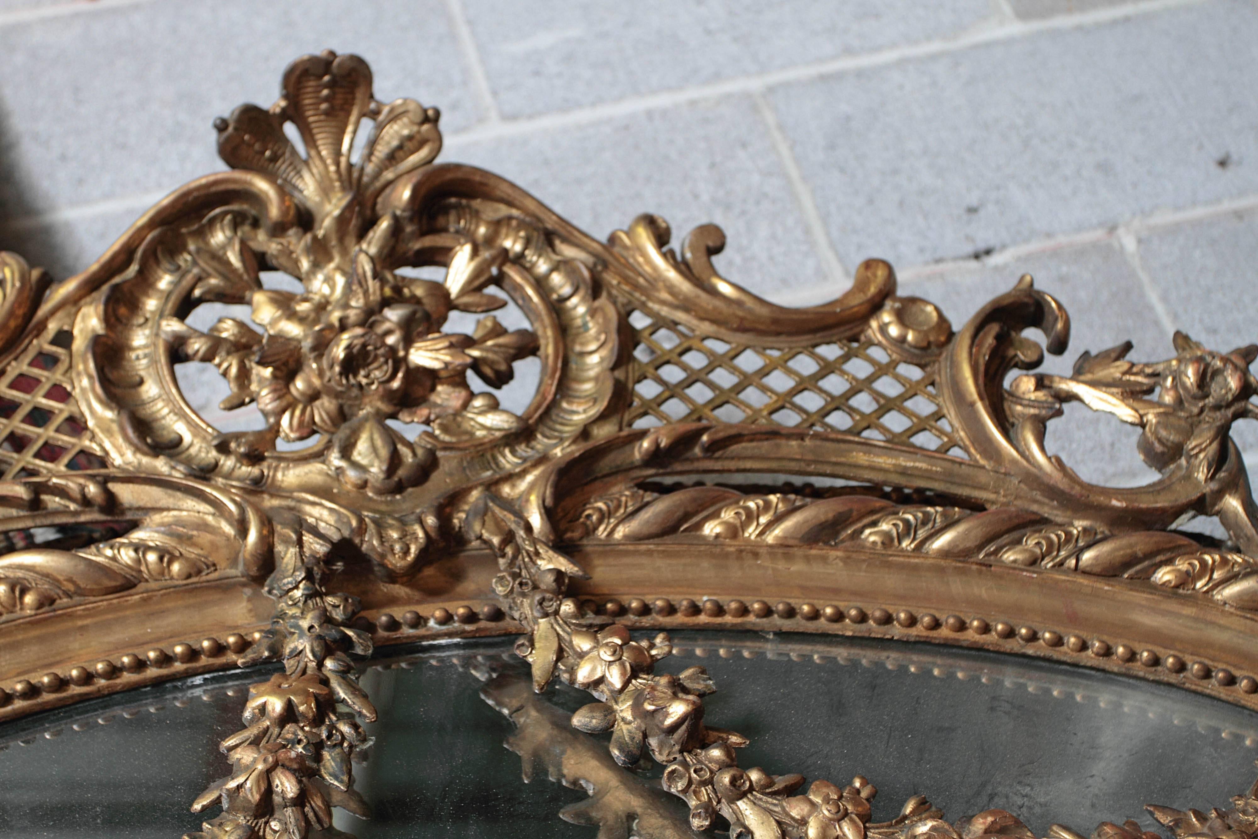Pair of Palatial French 19th Century Gilt Carved Louis XV Mirrors 2