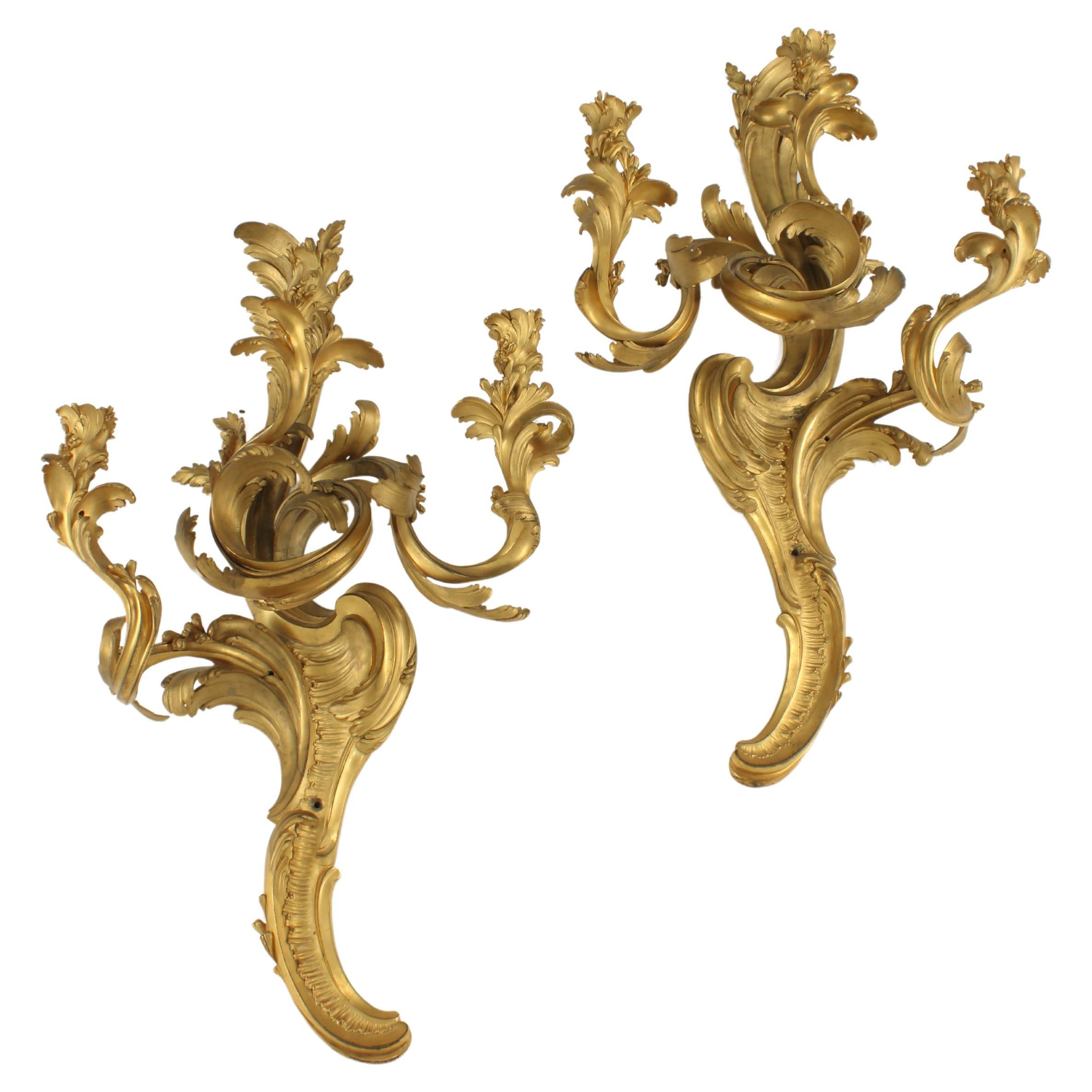 Coppia di sconsigliere in bronzo ormolato in stile Luigi XV, XIX secolo in vendita