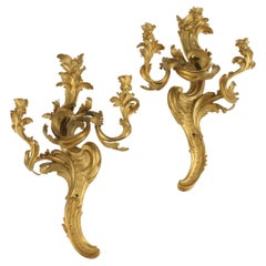 Antique Pair of Palatial Louis XV Style Ormolu Bronze Sconces, 19th Century
