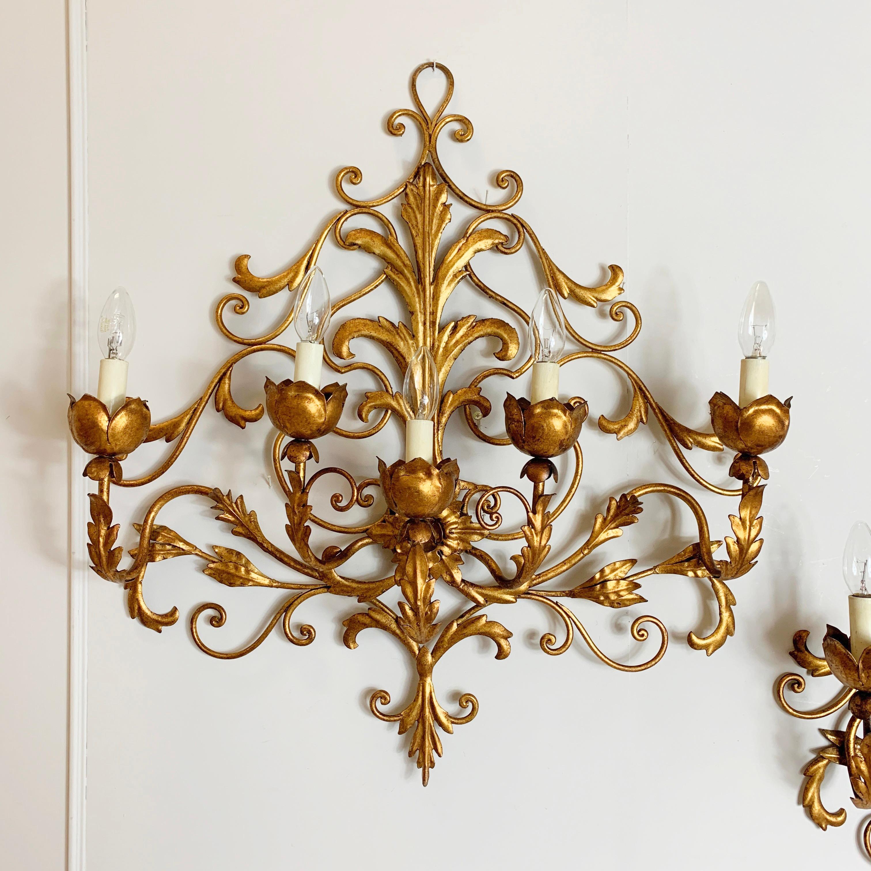 Pair of large Palladio wall sconce's, Italy, 1960s
Beautiful gilt Florentine wall lights with gilt metal acanthus leaf and scroll detailing
There are 5 lampholders to each light, e14 bulbs
These lights are an impressive statement on any
