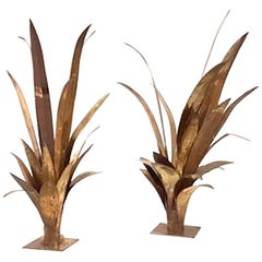 Pair of Palm Tree