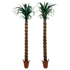 Pair of Palm Tree Form Torcheres