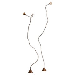 Pair of Papiro Floor Lamps by Sergio Calatroni