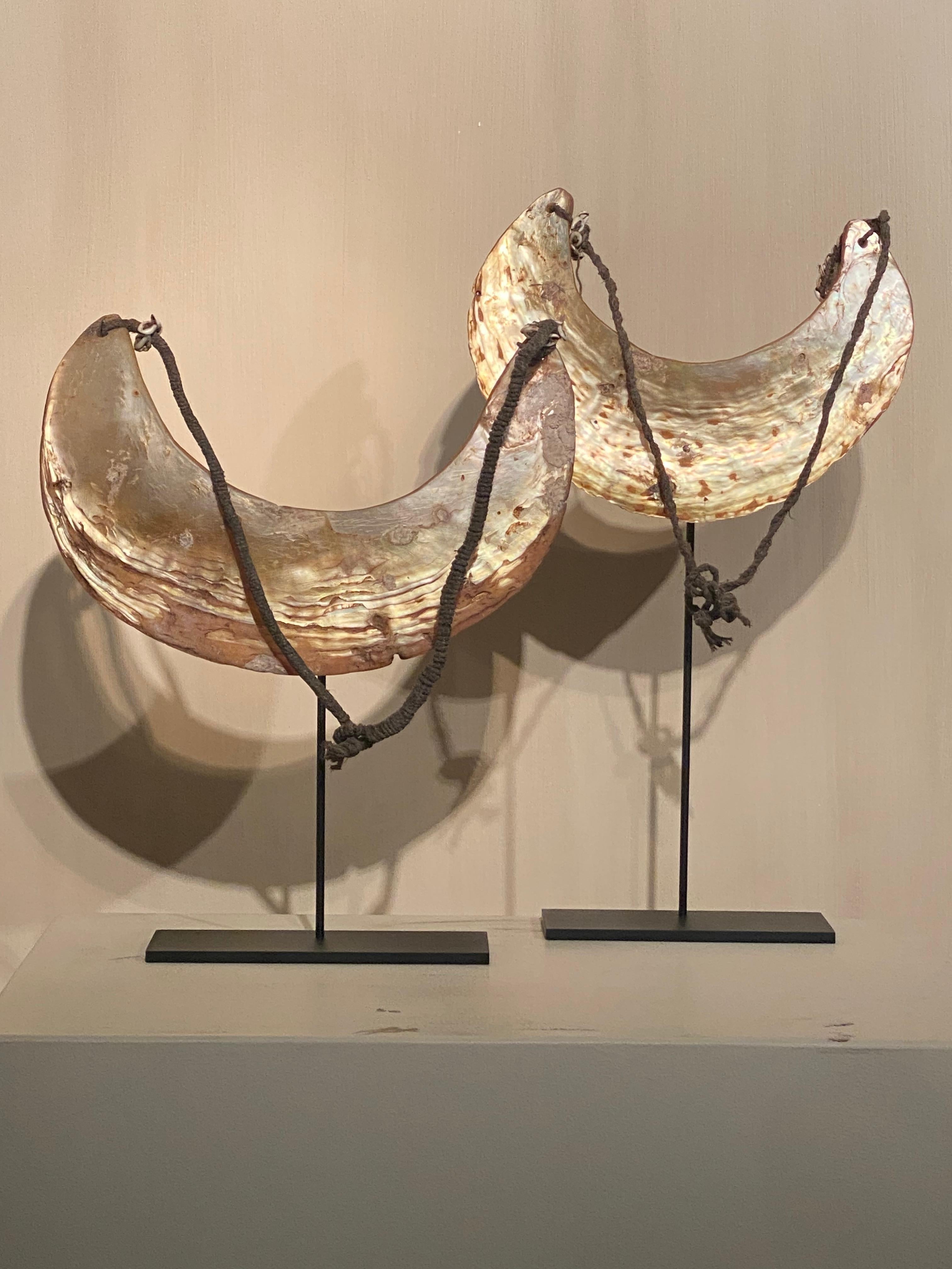 Un'elegante coppia di collane provenienti dalla Papua Nuova Guinea,
in conchiglia di madreperla,
la buona e vecchia patina e la lucentezza delle conchiglie,
simpatiche decorazioni con piccole conchiglie e fibre,
bel pezzo da collezione
30 cm di