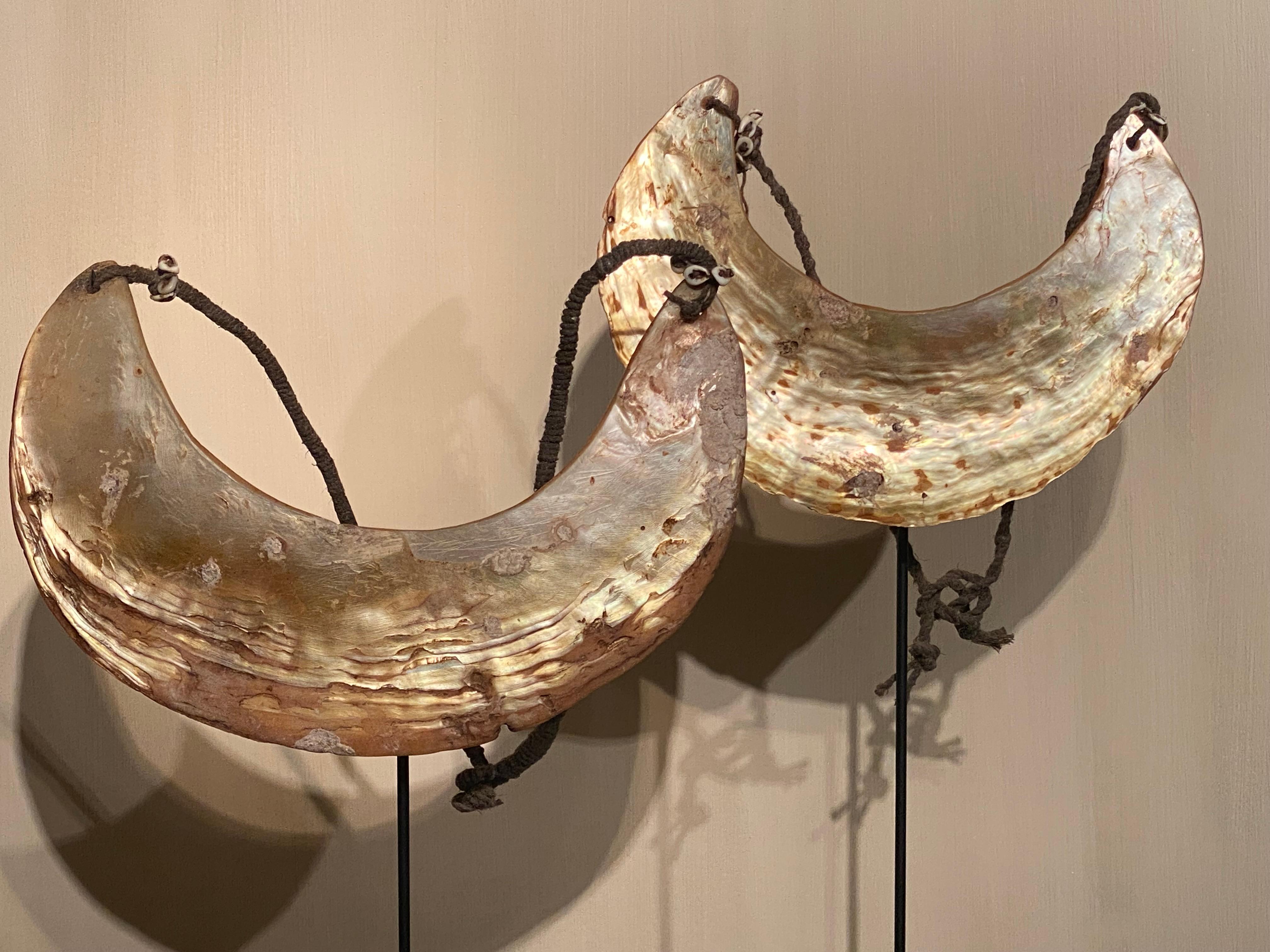 Conchiglia Coppia di collane della Papua Nuova Guinea in vendita