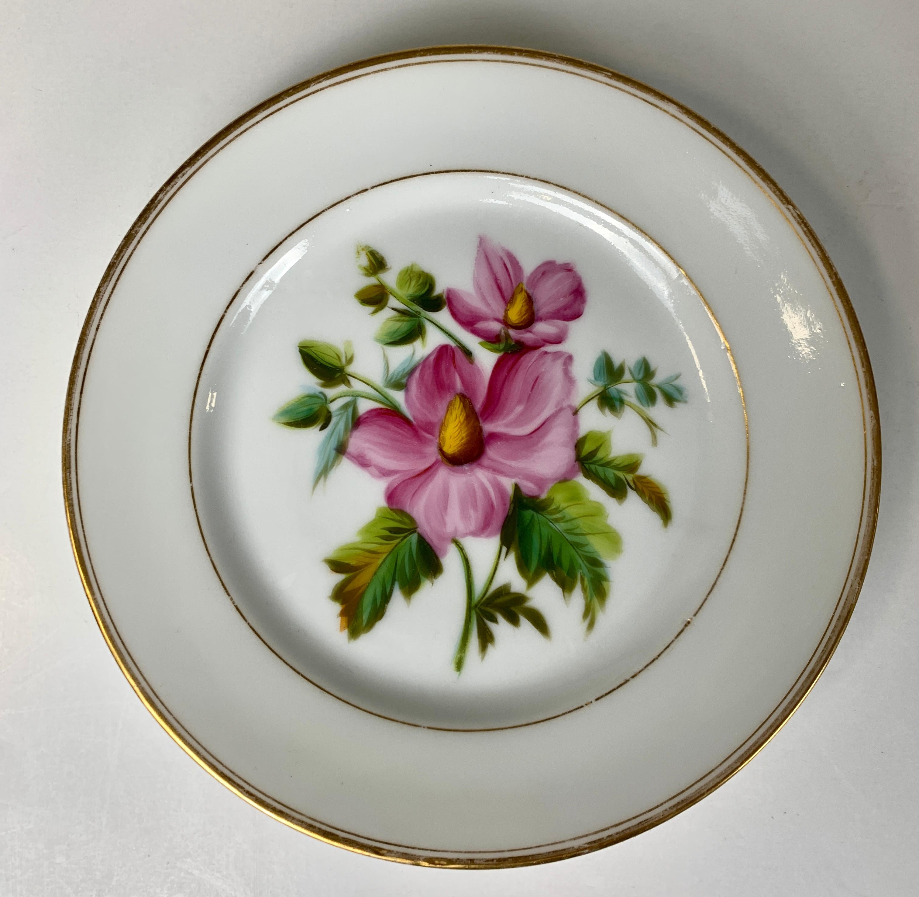 Dieses Paar botanischer Schalen aus Pariser Porzellan zeigt jeweils eine einzelne exquisite Pflanze mit lila-rosa Blüten.
Das Geschirr wurde von Feuillet hergestellt und Mitte des 19. Jahrhunderts in Frankreich von Chevet vertrieben. 
Beide Gerichte