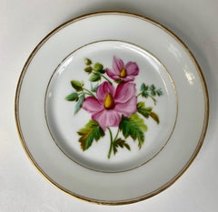 Pair of Paris Porcelain Botanical Dishes Hand -Painted by Feuillet, Circa 1850