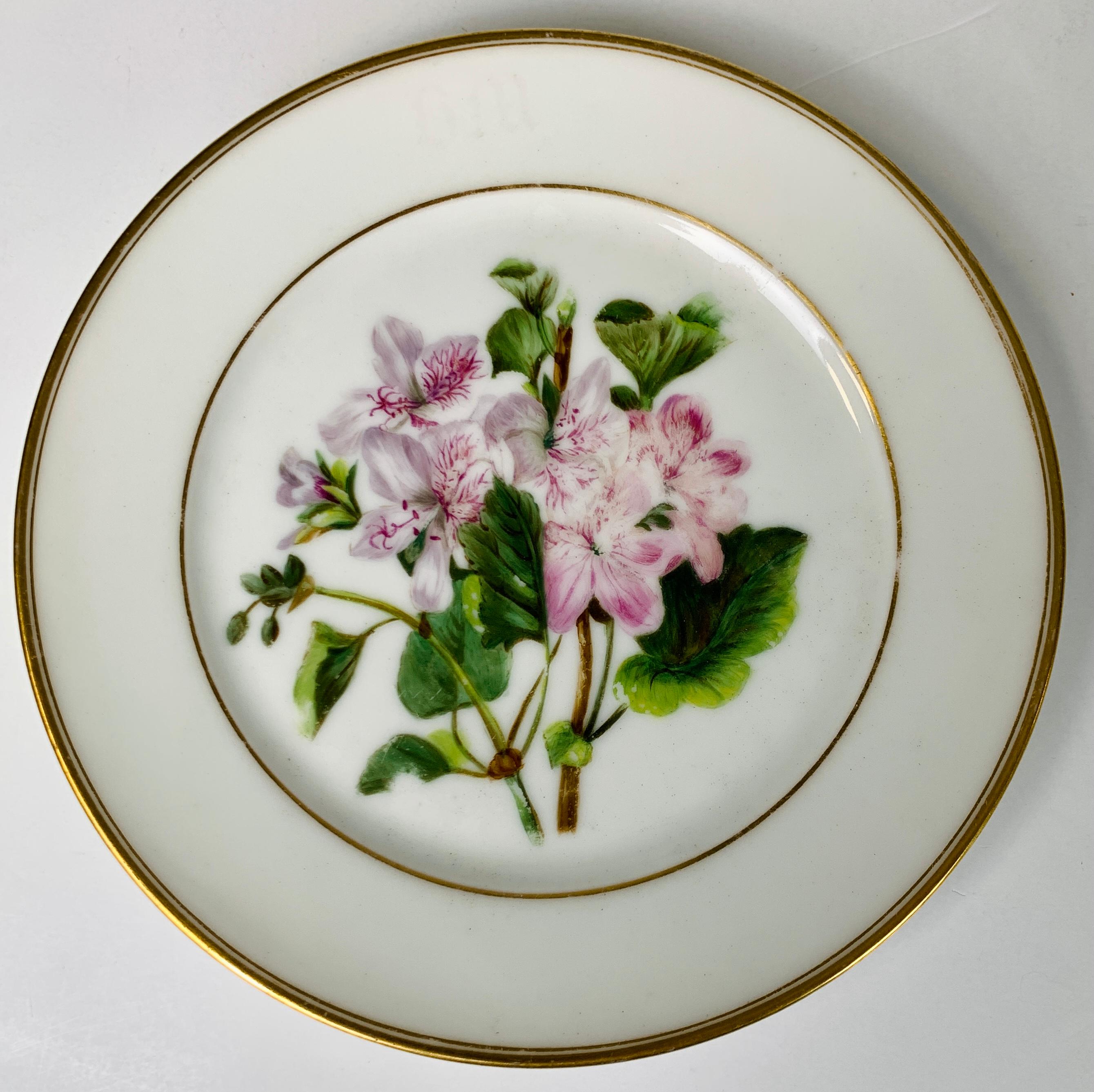 Pair of Paris Porcelain Botanical Dishes Painted by Feuillet, Circa 1850 In Good Condition For Sale In Katonah, NY