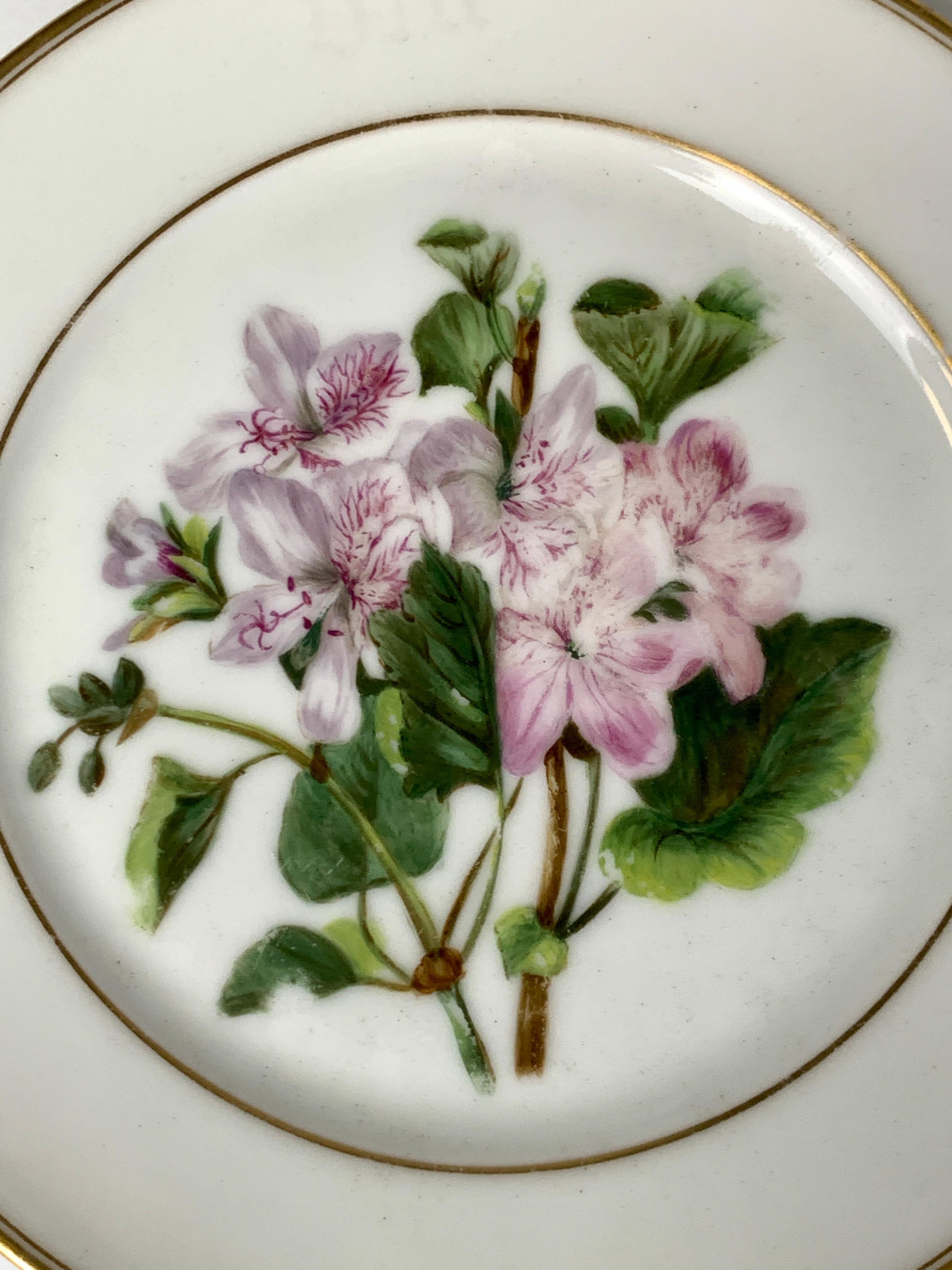 Hand-Painted Pair of Paris Porcelain Botanical Dishes Painted by Feuillet, Circa 1850 For Sale