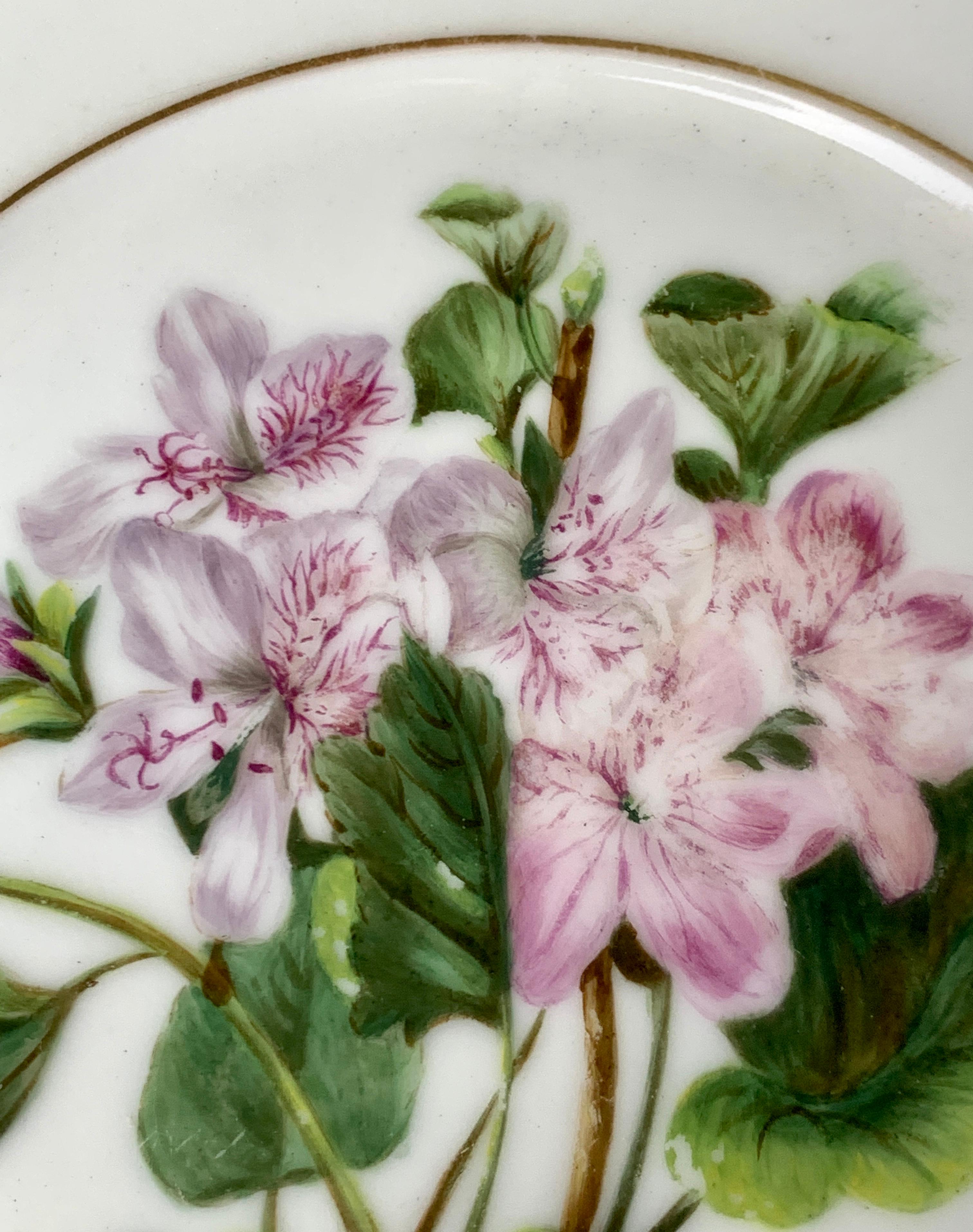 Pair of Paris Porcelain Botanical Dishes Painted by Feuillet, Circa 1850 For Sale 1