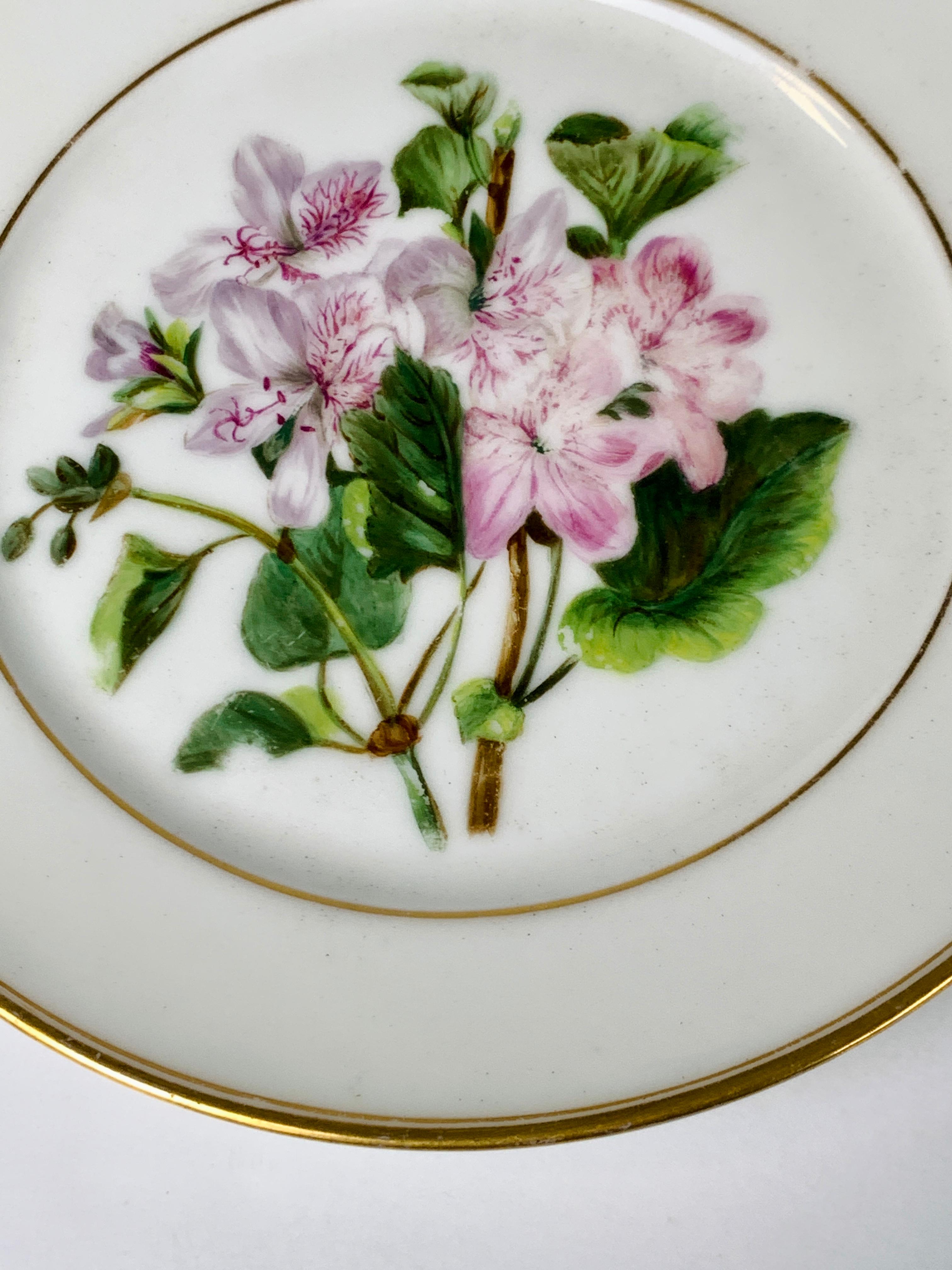 19th Century Pair of Paris Porcelain Botanical Dishes Painted by Feuillet, Circa 1850 For Sale