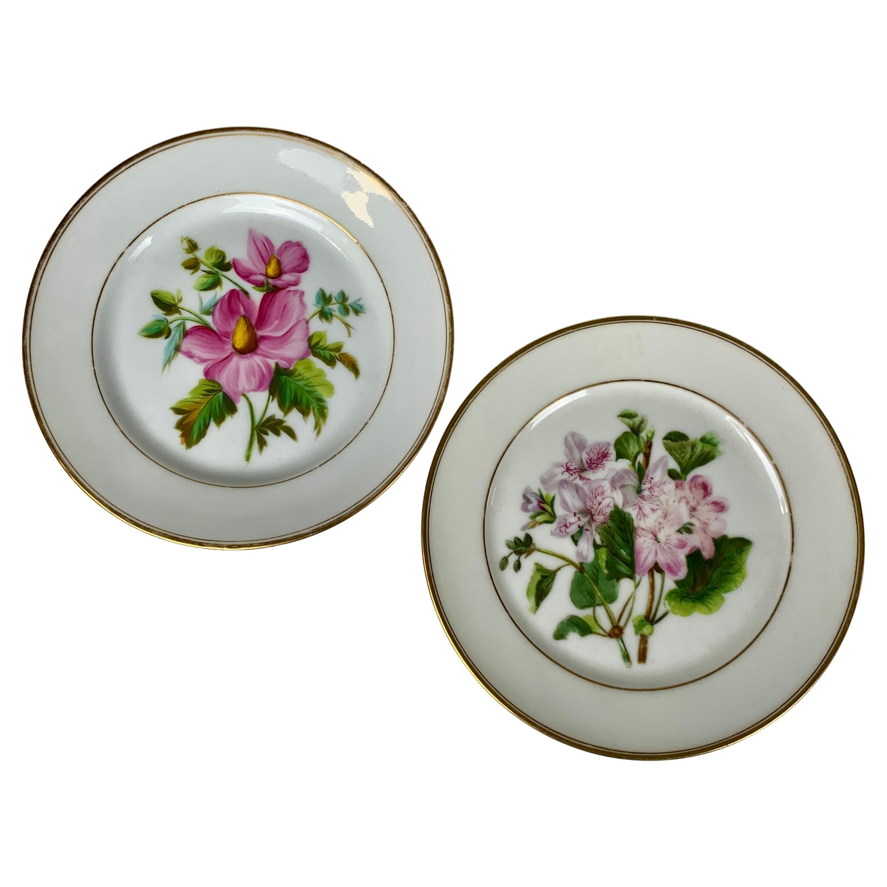 Pareja de Platos Botánicos de Porcelana de París Pintados a Mano por Feuillet, Circa 1850