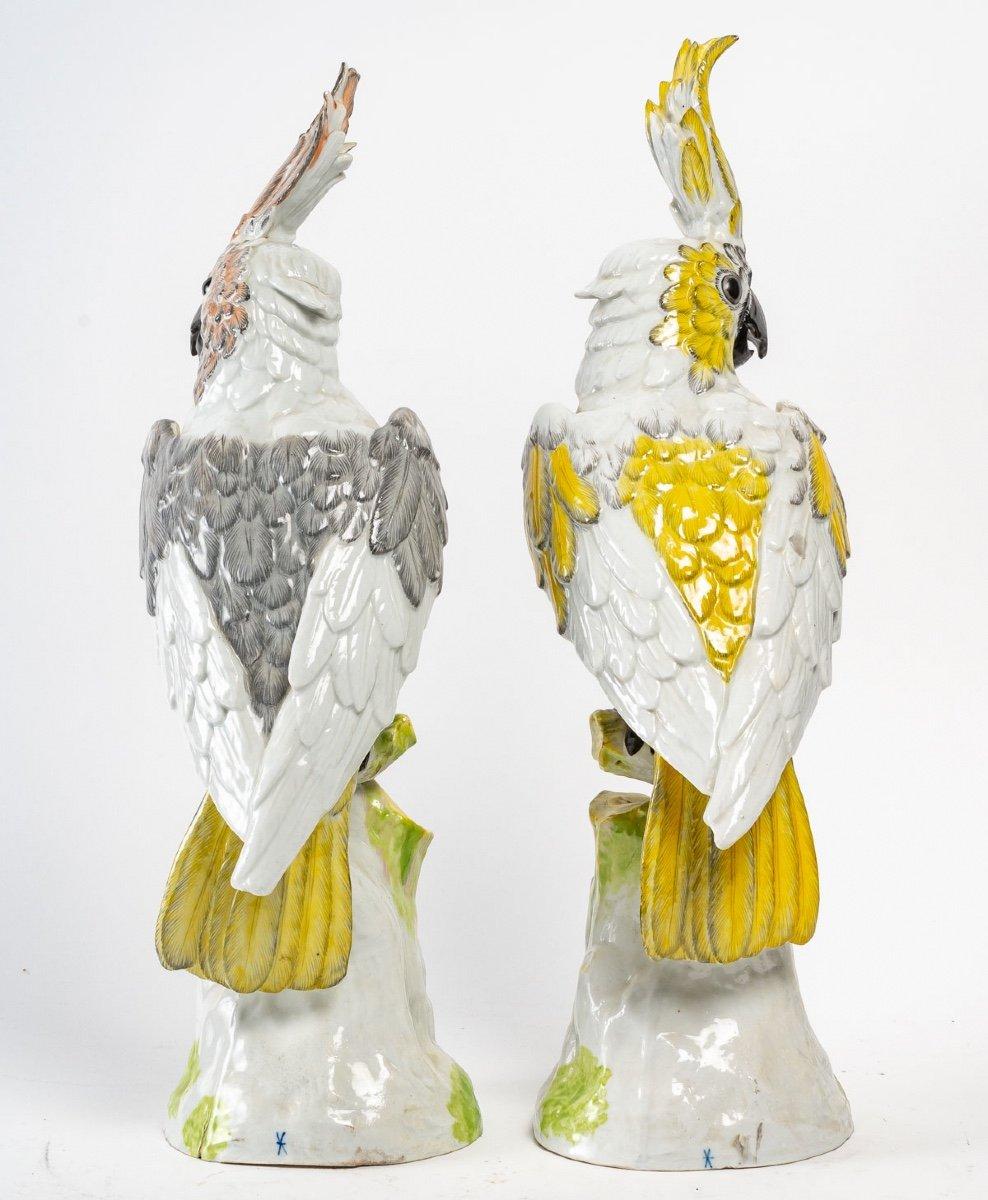Pair of Parrot Figurines in Meissen Porcelain, Late 19th Century 3
