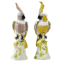 Pair of Parrot Figurines in Meissen Porcelain, Late 19th Century