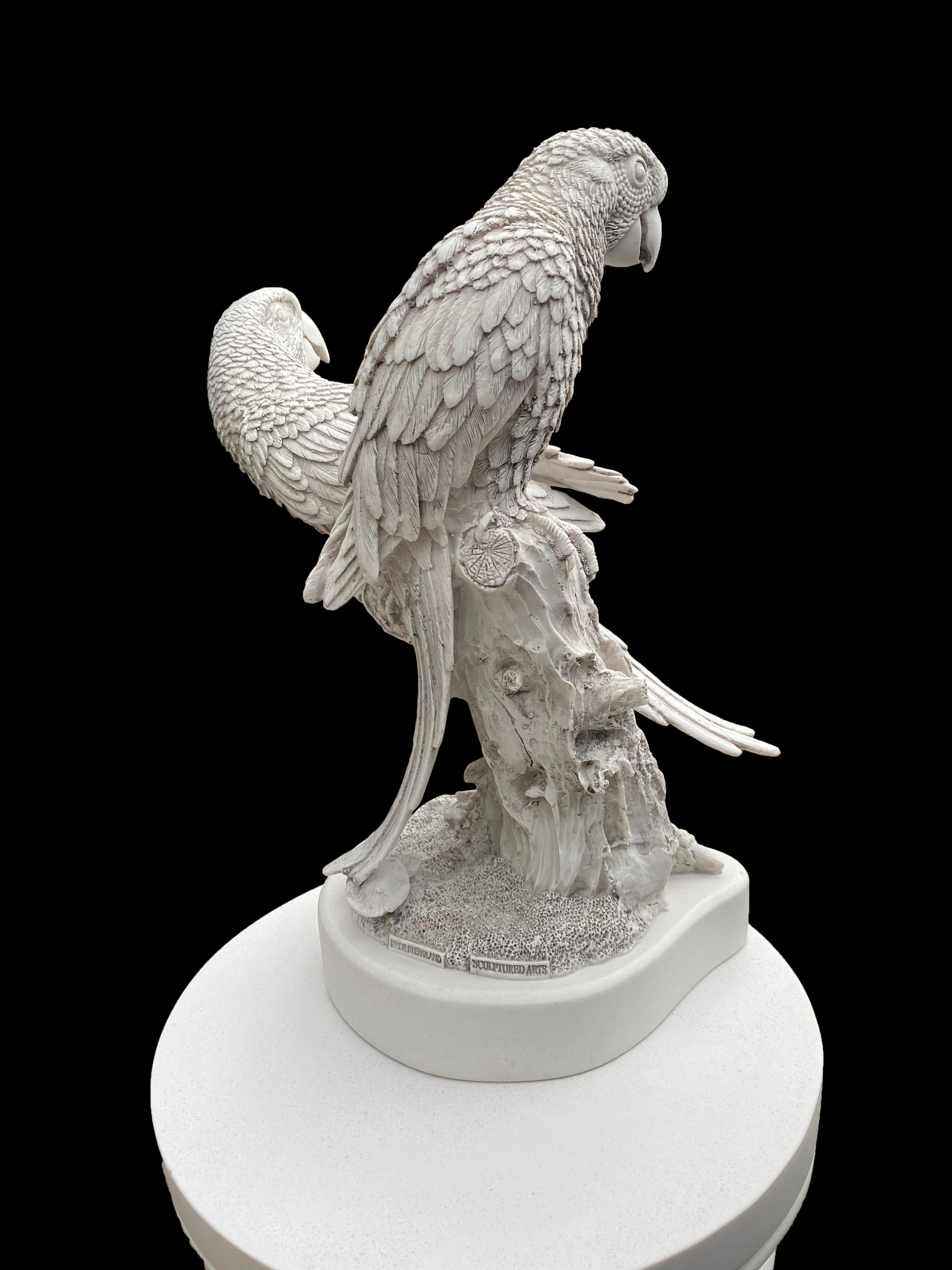 Paire de sculptures de perroquet - 20ème siècle en vente 5