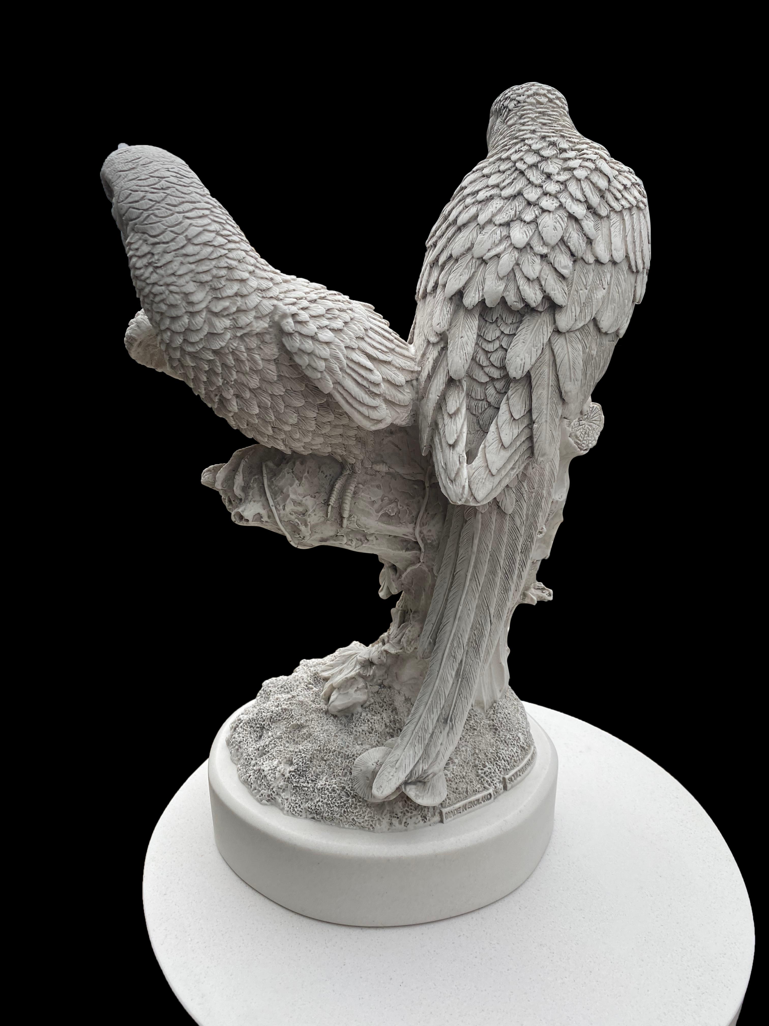 20ième siècle Paire de sculptures de perroquet - 20ème siècle en vente